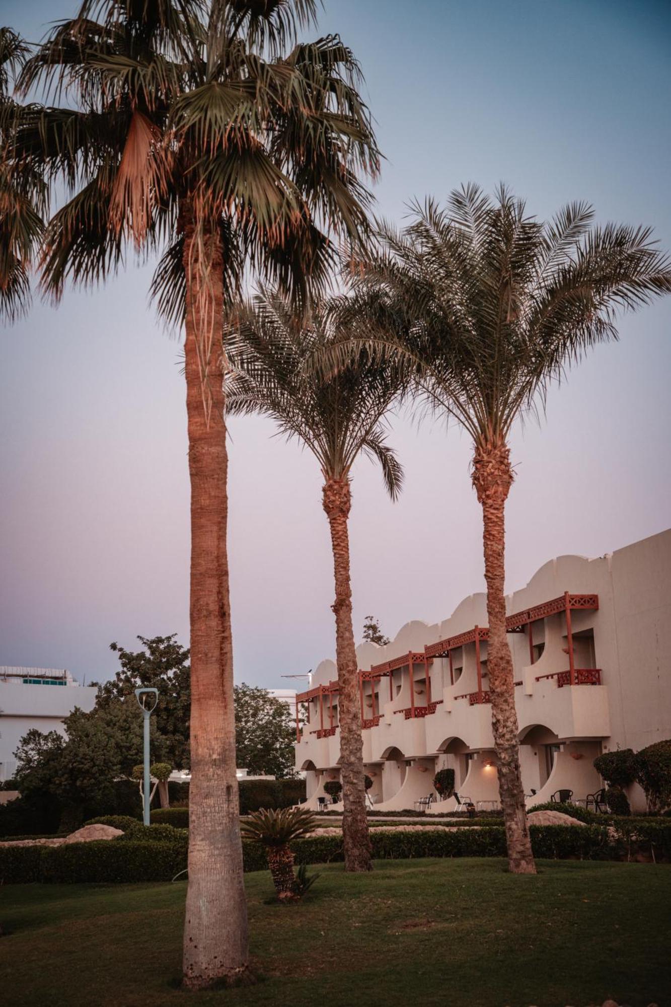 Naama Bay Promenade Beach Resort Managed By Accor Sharm el-Sheikh Exterior photo